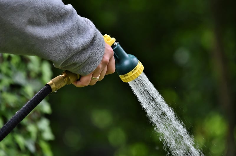 Watering guide